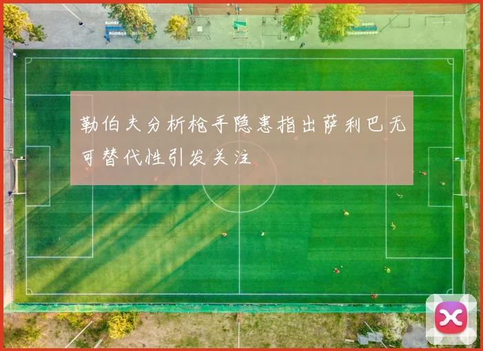 勒伯夫分析枪手隐患指出萨利巴无可替代性引发关注